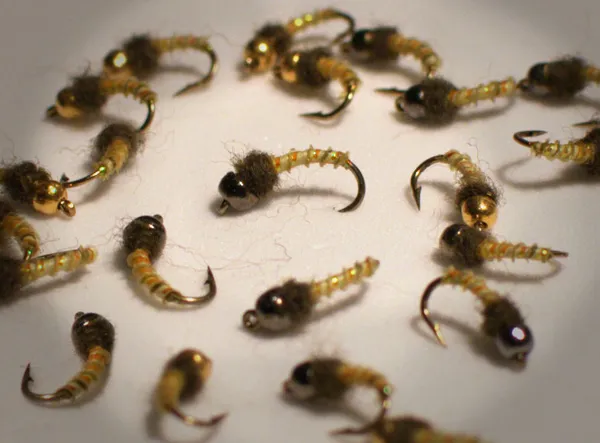 Nymphs