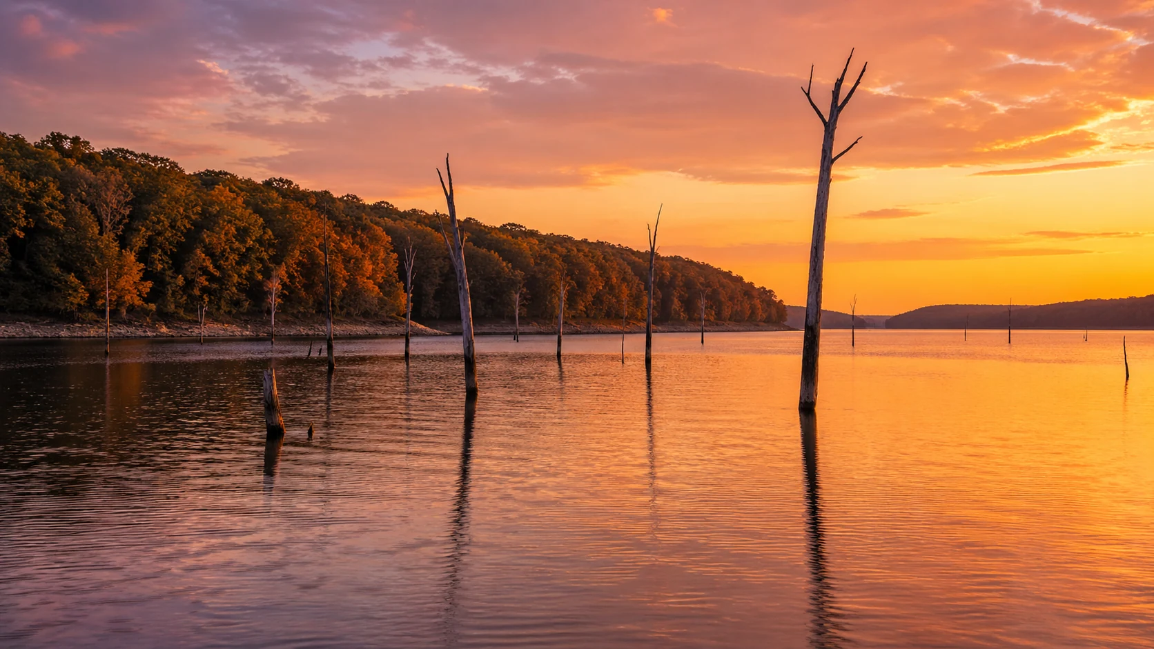 Patoka Lake — Indiana Reservoir fishing