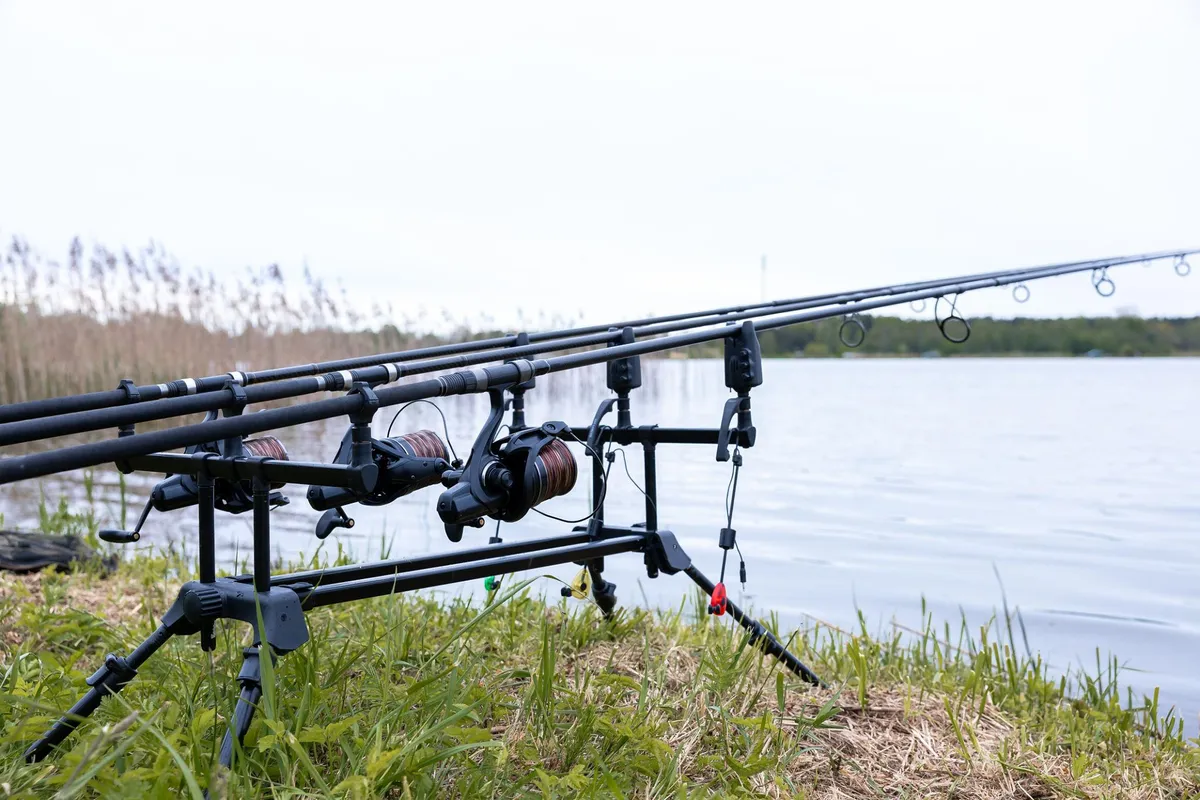 Carp fishing setup at Indiana lake