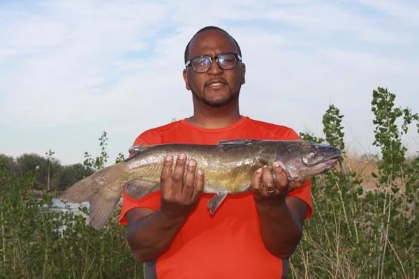 Channel catfish caught by bank angler