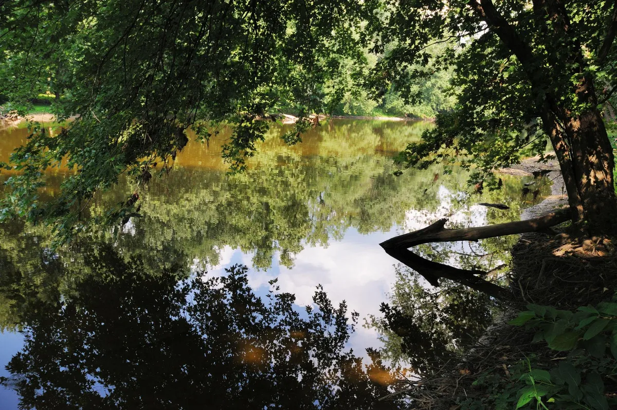 Indiana creek with scenic reflection