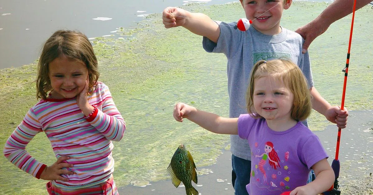 Kids fishing at pond catching bluegill