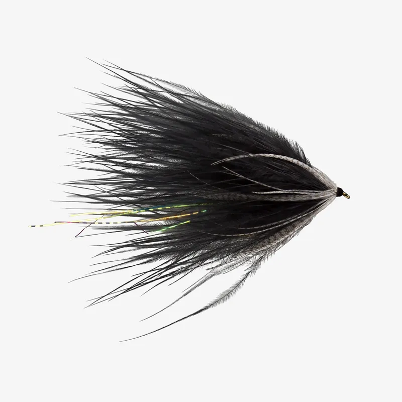 Black streamer fly for steelhead